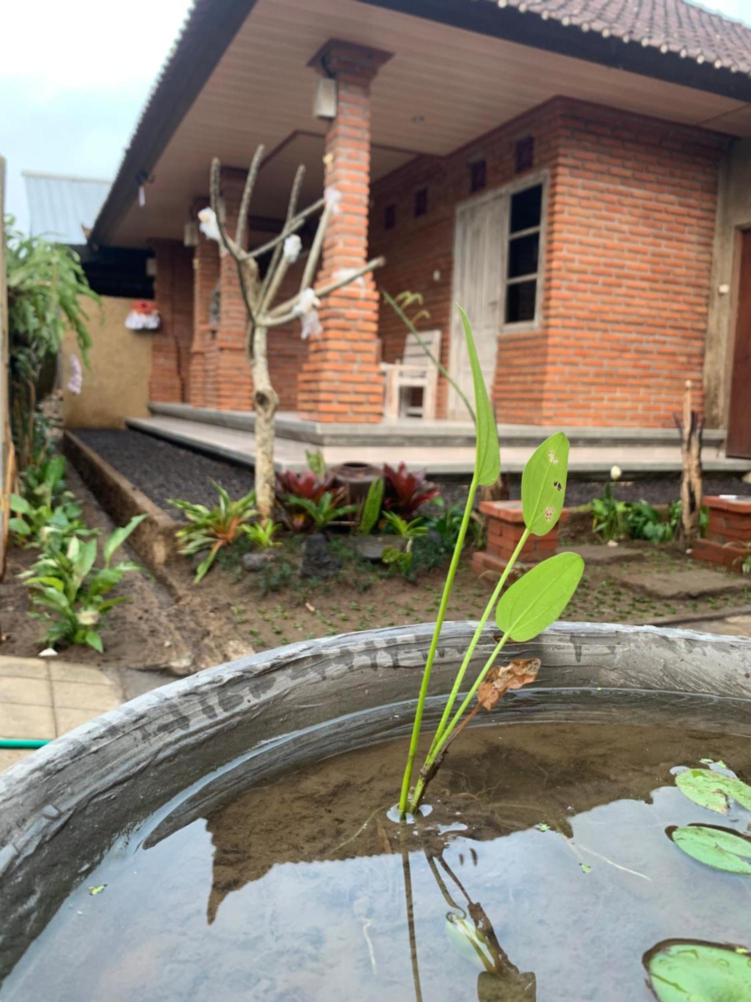 Ambara Guest House Tampaksiring ภายนอก รูปภาพ